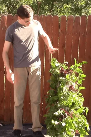 Garden at hip height