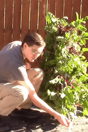 Automated watering hookup