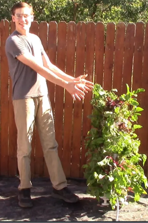 Vertical growing tower