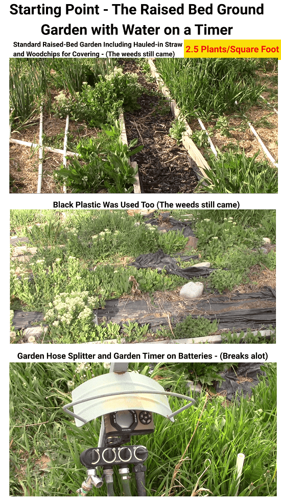 Generation 0 ground garden