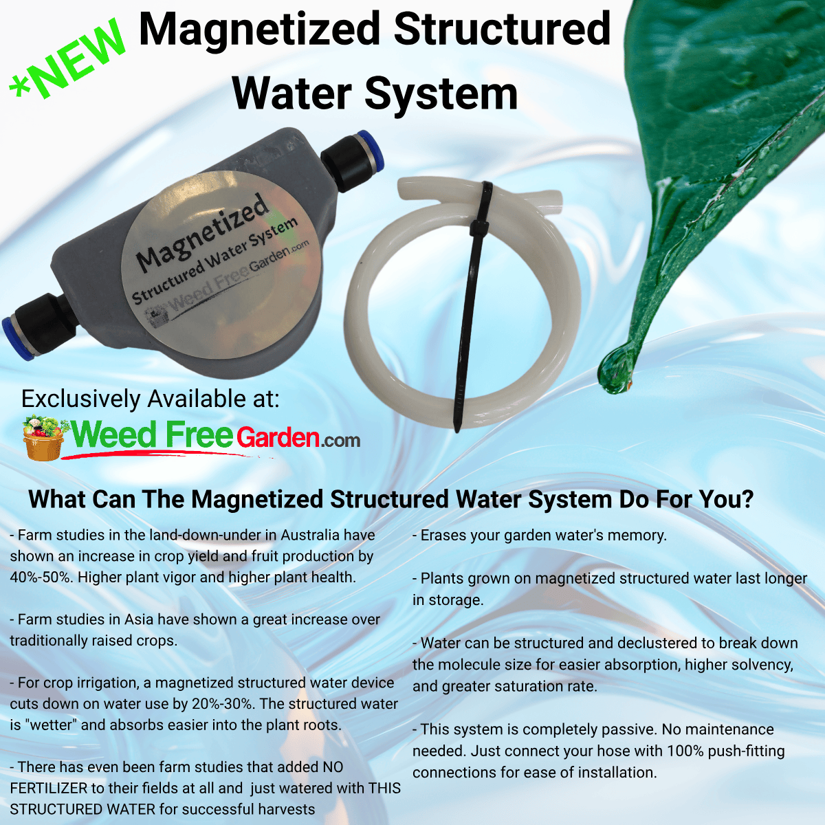 Magnetized Structured Water System
