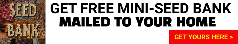 Free Mini-Seed Bank offer