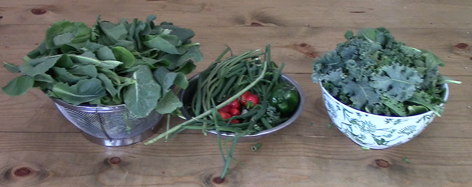 Harvest from a WeedFreeGarden